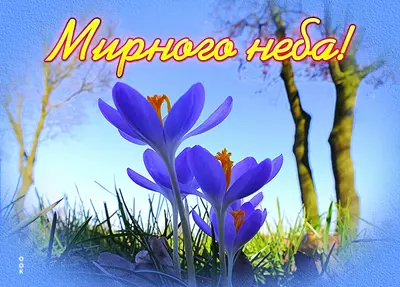 Picture чудесная картинка мирного неба