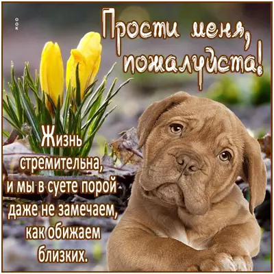 Postcard чудесная картинка прости меня пожалуйста