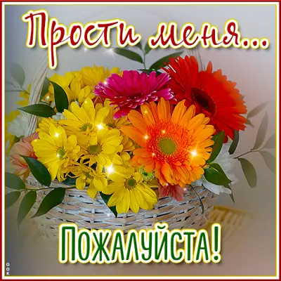 Picture чудесная картинка прости меня пожалуйста
