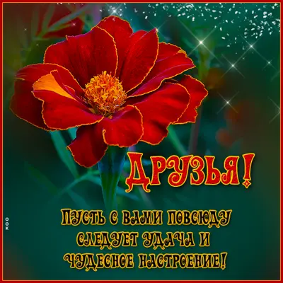Picture чудесная картинка пусть с вами повсюду сделует удача