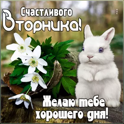 Picture чудесная картинка счастливого вторника