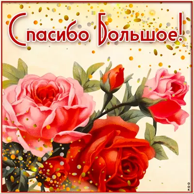 Postcard чудесная картинка  спасибо  большое