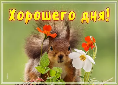 Postcard чудесная картинка хорошего дня