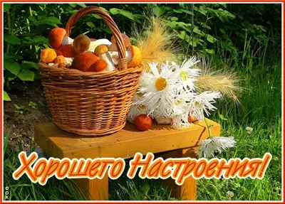 Postcard чудесная картинка хорошего настроения