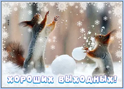 Picture чудесная картинка хороших выходных