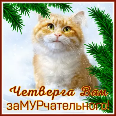 Picture чудесная картинка замурчательного четверга