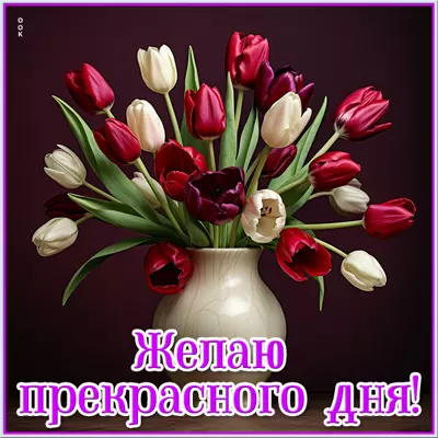 Postcard чудесная картинка желаю прекрасного дня
