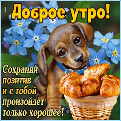 Picture чудесная открытка доброе утро