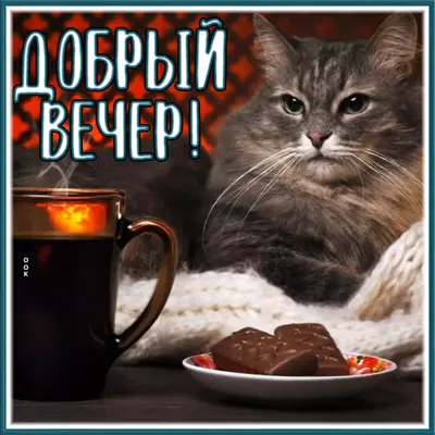 Picture чудесная открытка добрый вечер