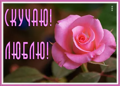 Picture чудесная открытка скучаю люблю