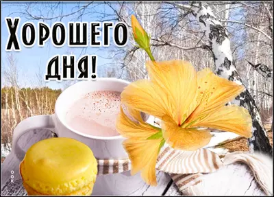 Picture чудесная открытка хорошего дня