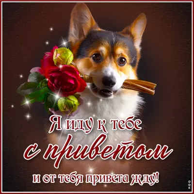 Postcard чудесная открытка я иду к тебе с приветом
