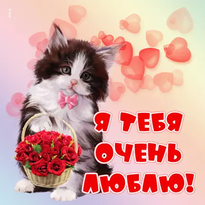 Picture чудесная открытка я тебя очень люблю