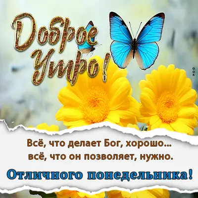 Picture чудная картинка отличного понедельника