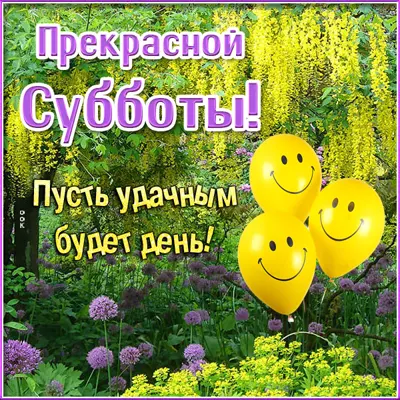 Postcard чудная картинка пусть удачным будет день