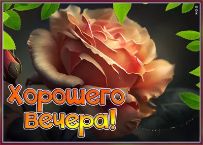 Postcard чудная картинка хорошего вечера