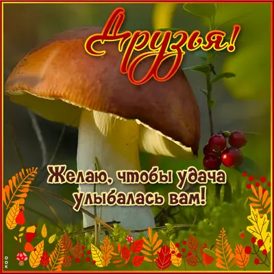 Picture чудная картинка желаю чтобы удача улыбалась вам
