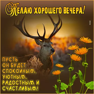 Picture чудная картинка желаю хорошего вечера