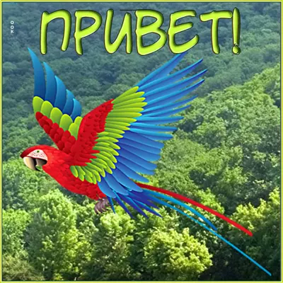 Picture чудная открытка привет