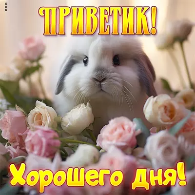Picture чудная открытка приветик
