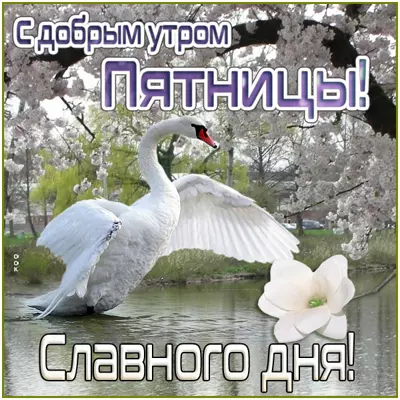 Picture чудная открытка славного дня