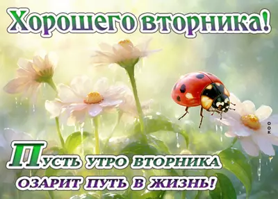 Postcard чудная открытка хорошего вторника