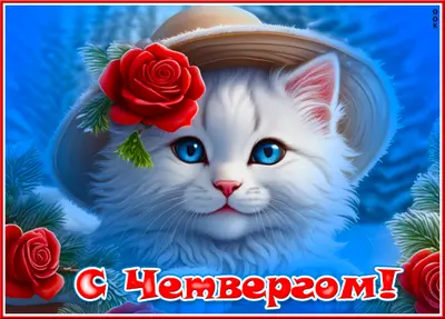 Picture добрая картинка с четвергом