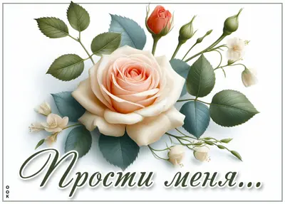 Postcard добрая открытка с розой прости меня