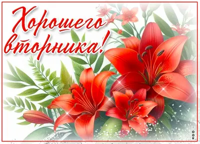 Picture гармоничная открытка хорошего вторника