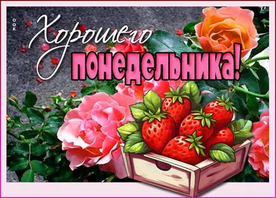 Postcard гламурная картинка хорошего понедельника