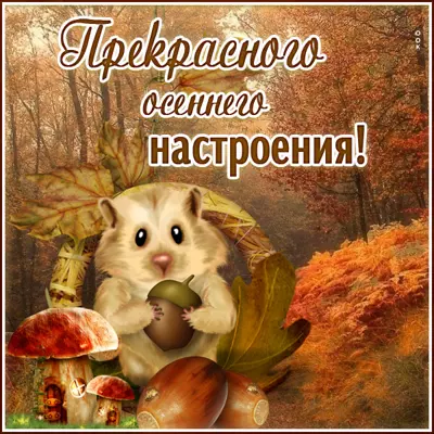 Postcard искренняя открытка хорошего настроения