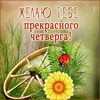 Picture изысканная картинка желаю тебе прекрасного четверга