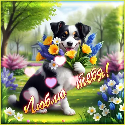 Picture изысканная открытка люблю тебя