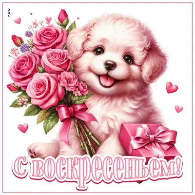 Postcard изысканная открытка с воскресеньем