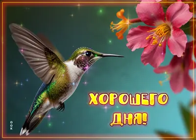 Postcard изысканная открытка хорошего дня
