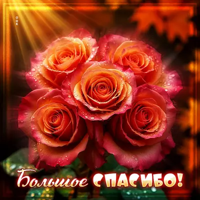 Postcard картинка большое спасибо