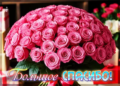 Postcard картинка большое спасибо, прими этот скромный букет