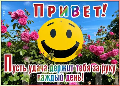 Picture картинка большой привет вам