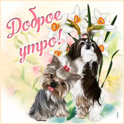 Postcard картинка доброе утро с собачками
