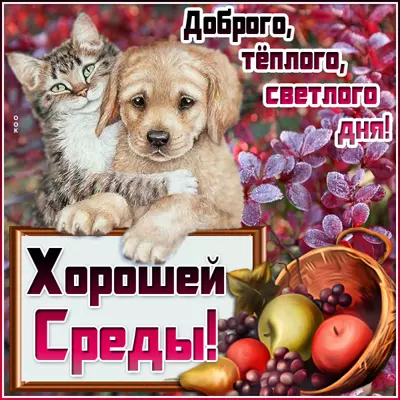 Postcard картинка доброго ,теплого ,светлого дня !