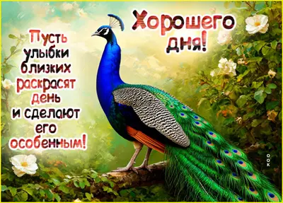 Postcard картинка много улыбок и радости на весь день