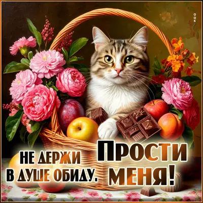 Postcard картинка не держи в душе обиду