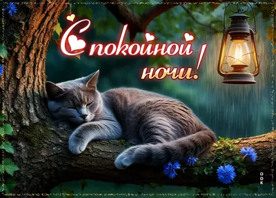 Picture картинка ночи спокойной и мирной