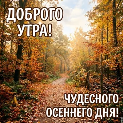 Picture картинка осеннее утро