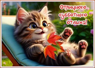 Picture картинка отличного субботнего отдыха