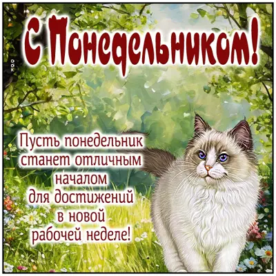 Postcard картинка понедельник с пожеланиями удачной недели