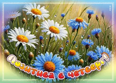 Postcard картинка позитива в четверг