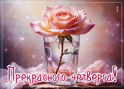 Picture картинка прекрасного четверга как эта роза