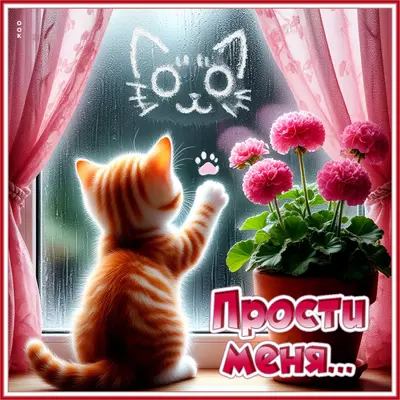Postcard картинка прости меня