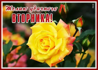 Picture картинка пусть этот вторник прекрасным будет